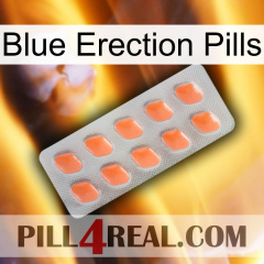 Blue Erection Pills 26